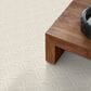 Anderson Tuftex Appreciation Carpet in Soft Fleece, , large