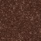 Shaw Hard At Play II Carpet in Orange Oxide, , large