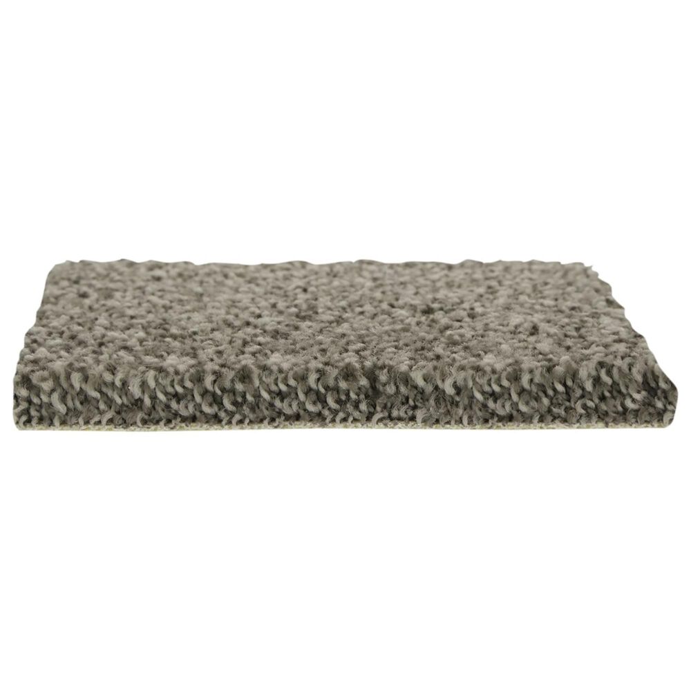 Mohawk Popular Design Carpet in Espresso, , large