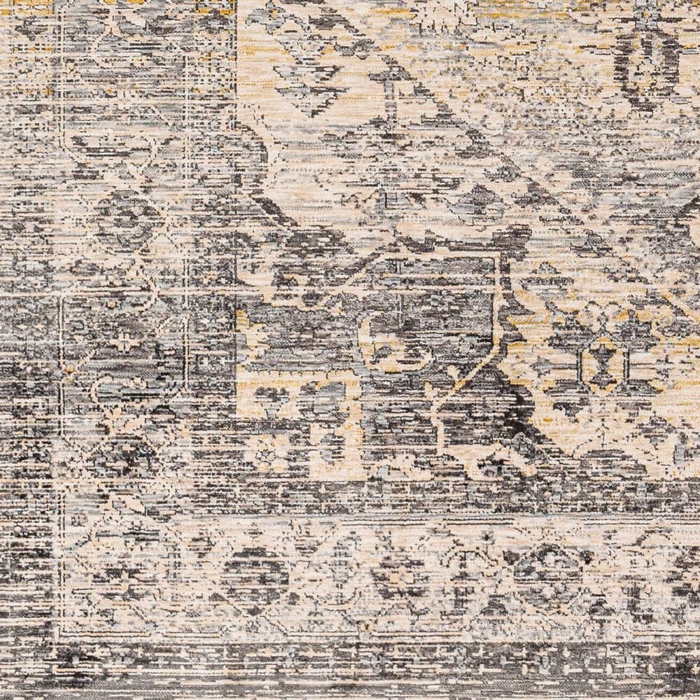 Surya Chicago CHG2316 3&#39;11&quot; x 5&#39;10&quot; Light Beige, Charcoal, Slate, Black, Blue,Taupe Area Rug, , large