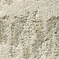 Anderson Tuftex Caress Resort Chic Carpet in Soft Spoken, , large
