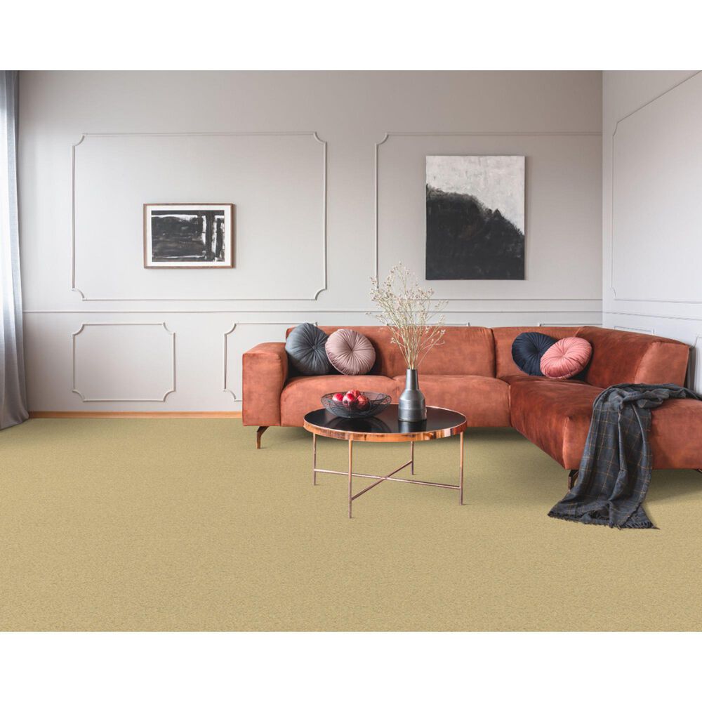 Dixie Home Simplicity Carpet in Portico, , large