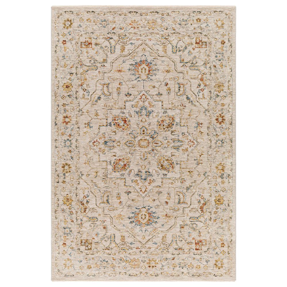 Surya Reina Light Gray, Medium Gray, Cream, Light Brown, Denim, Rust, Mustard and Olive 5" x 7"5" Area Rug, , large