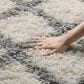 Safavieh Dallas Shag SGD258F-26 2"3" x 6" Ivory/Grey Runner, , large