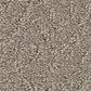 Shaw Vintage Motif Carpet In Wicker, , large