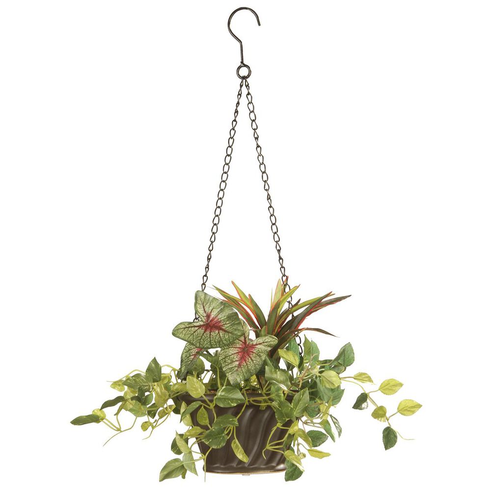 National Tree 10" Assorted Hanging Plant with Basket, , large