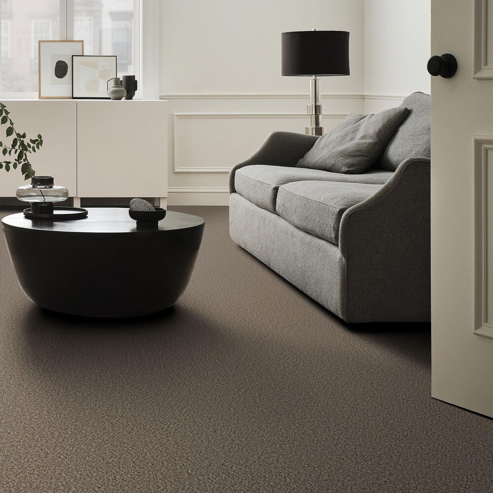 Shaw Remixed Classic Carpet in Dry Creek, , large