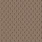 Fabrica Adulation Carpet in Shandur, , large