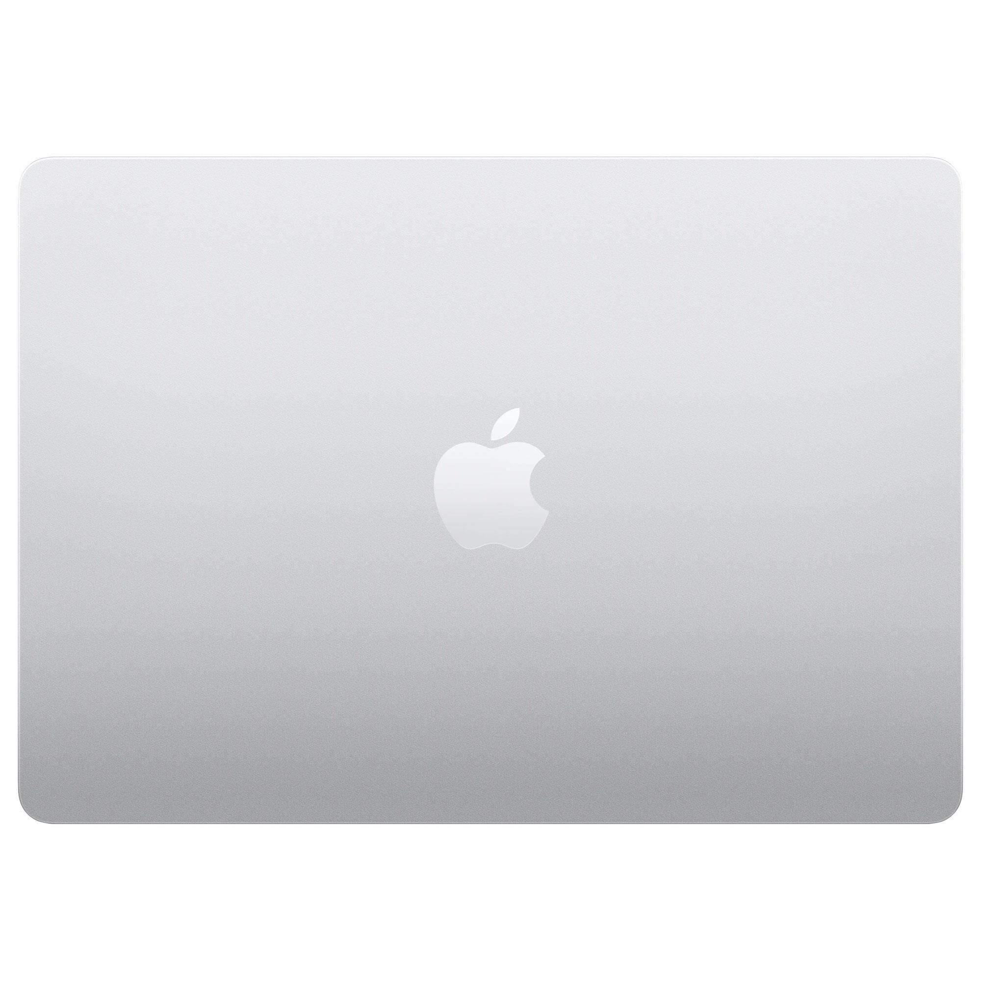 Apple 13