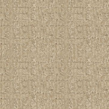 Anderson Tuftex Vignette Carpet in Champagne, , large