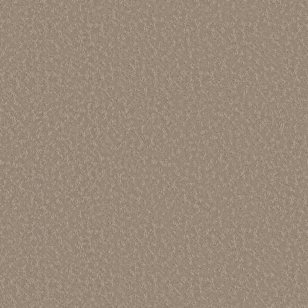 Shaw Clever Choice Carpet in Kindling, , large