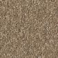 Shaw Way To Go I Carpet in Polo Tan, , large