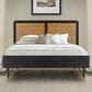 Blue River Saratoga Queen Platform Bed in Black and Natural, , large