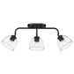 Golden Lighting Roxie 3-Light Semi-Flush in Matte Black, , large
