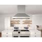 Zephyr Titan 54" Externally Vented Island Range Hood with TruHue in Stainless Steel, , large