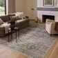Amber Lewis x Loloi Josie 9" x 12" Silver and Natural Area Rug, , large