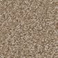 Shaw You Got This I Carpet in Worn Path, , large