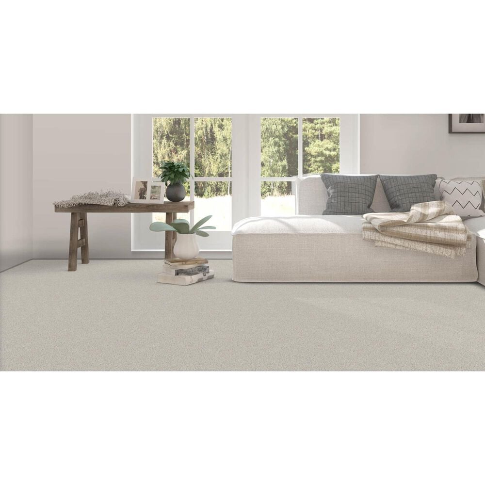 Fabrica Tribute Carpet in Canberra, , large