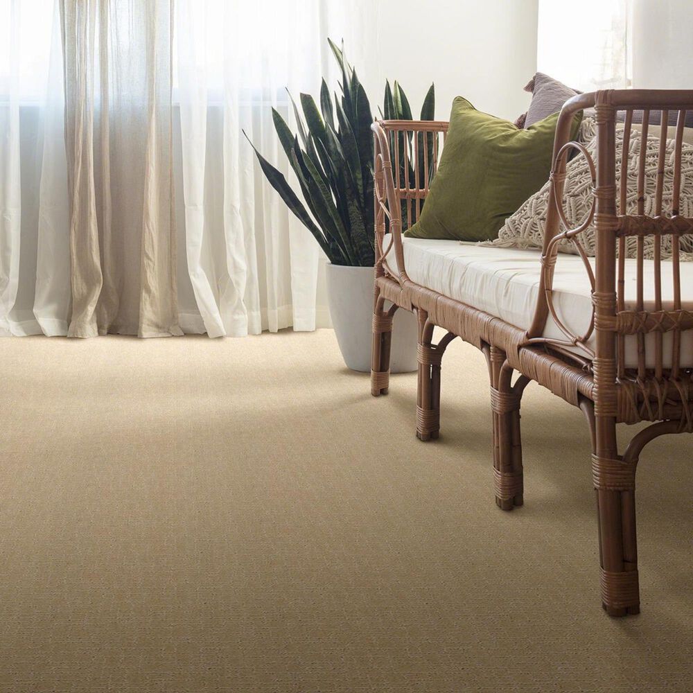 Anderson Tuftex New Tricks Carpet in Hazelnut, , large