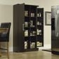Sauder HomePlus Large Storage Cabinet with Door in Dakota Oak, , large