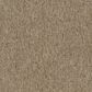 Shaw Multiplicity 18" x 36" Carpet Tile in Plethora, , large