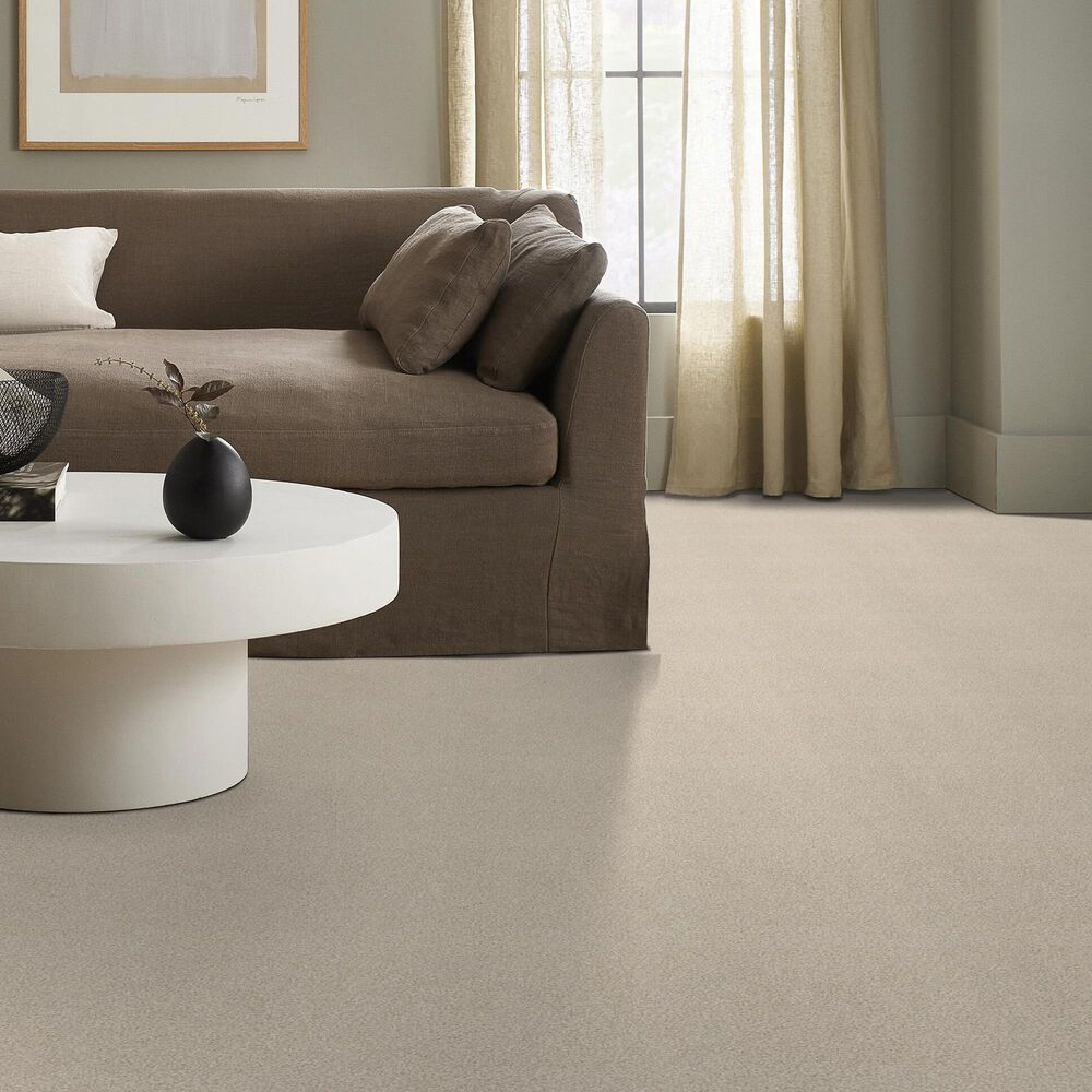 Shaw Tonal Comfort I Carpet in Happy Place, , large