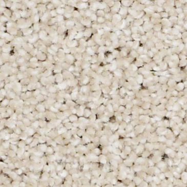 Shaw Always Ready II Carpet in Boutique, , large