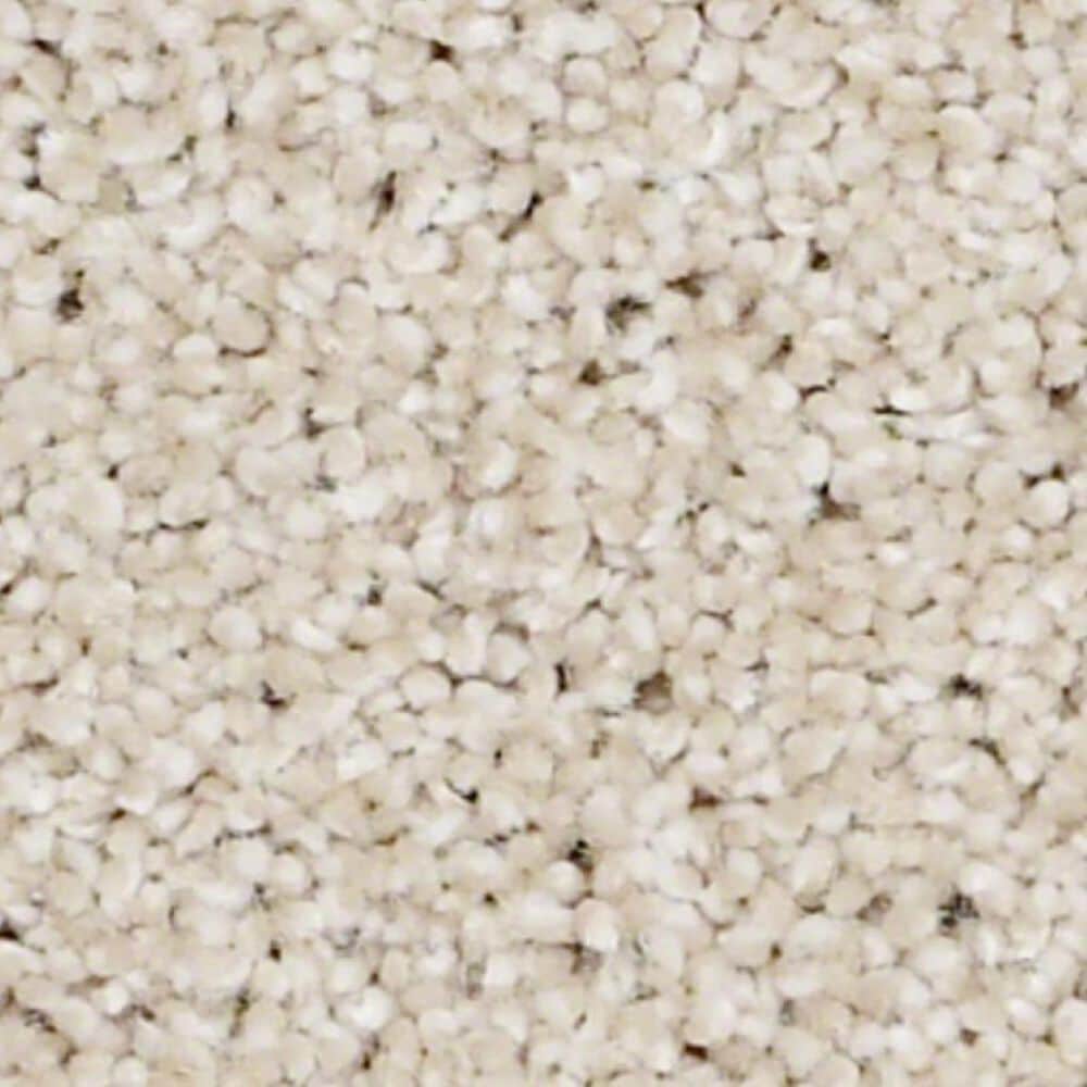 Shaw Always Ready II Carpet in Boutique, , large