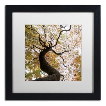 Timberlake 16" x 16" Under a Japanese Maple 2 Art in White Matting and Black Frame, , large