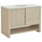 James Martin Vanities Marigot Single 48" Single Vanity in Sun-washed Oak with 3 cm Lime Delight Quartz Top, , large