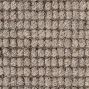 Anderson Tuftex Touchstone Carpet in Twig, , large