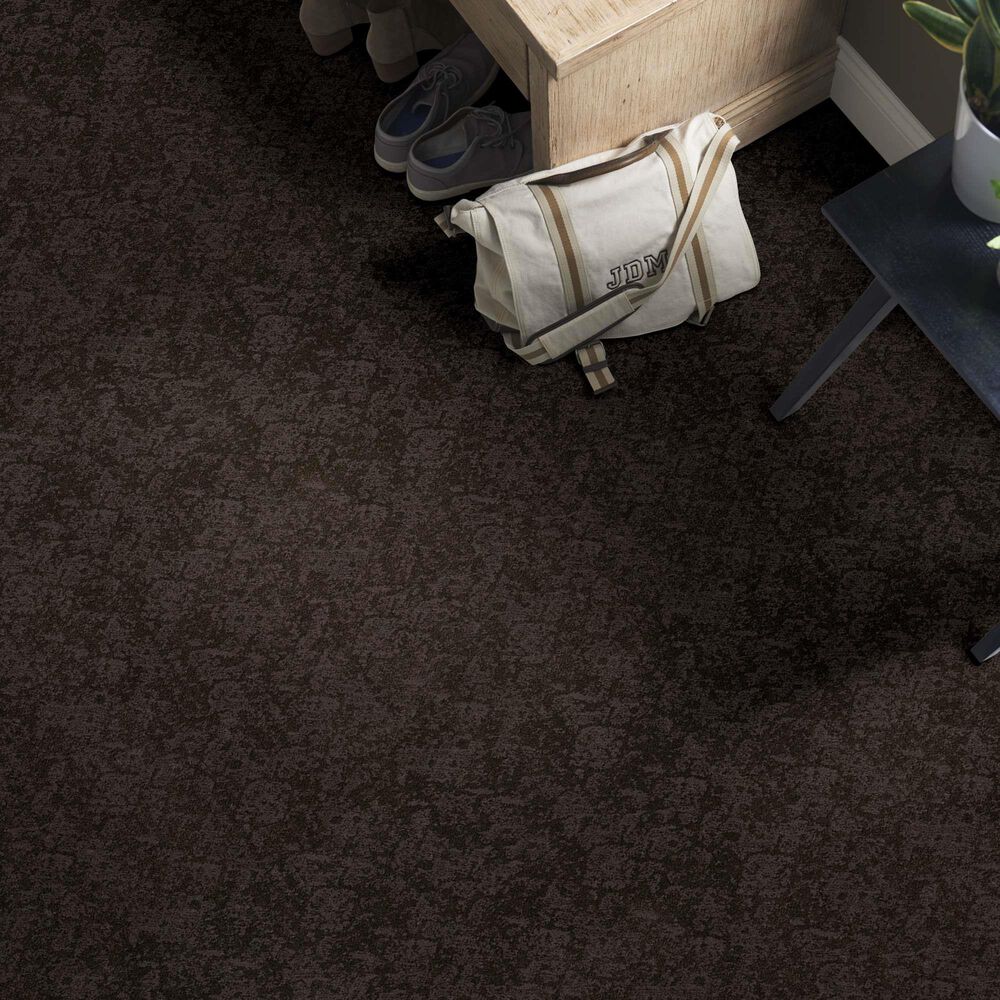 Philadelphia Caress Free Spirit Carpet in Burma Brown, , large