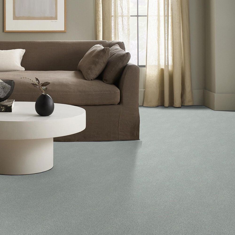 Shaw Tonal Comfort I Carpet in Refreshed, , large