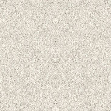 Dixie Home Noble Guardian Carpet in Bichon Frise, , large