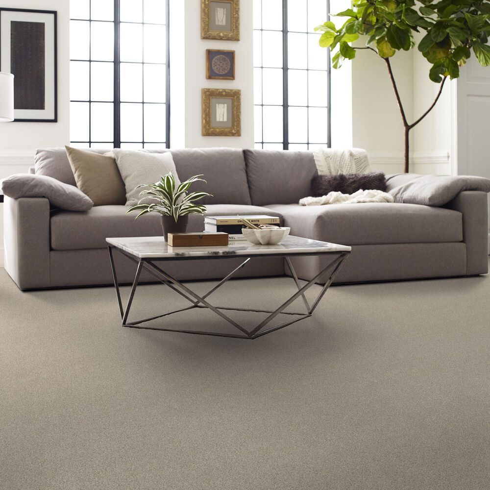 Shaw Comforting II Carpet in Shadow, , large