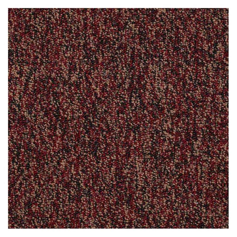 Shaw Sound Advice 24" x 24" Carpet Tile in Practice, , large