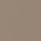 Shaw Imaginable I Carpet in Raw Wood, , large