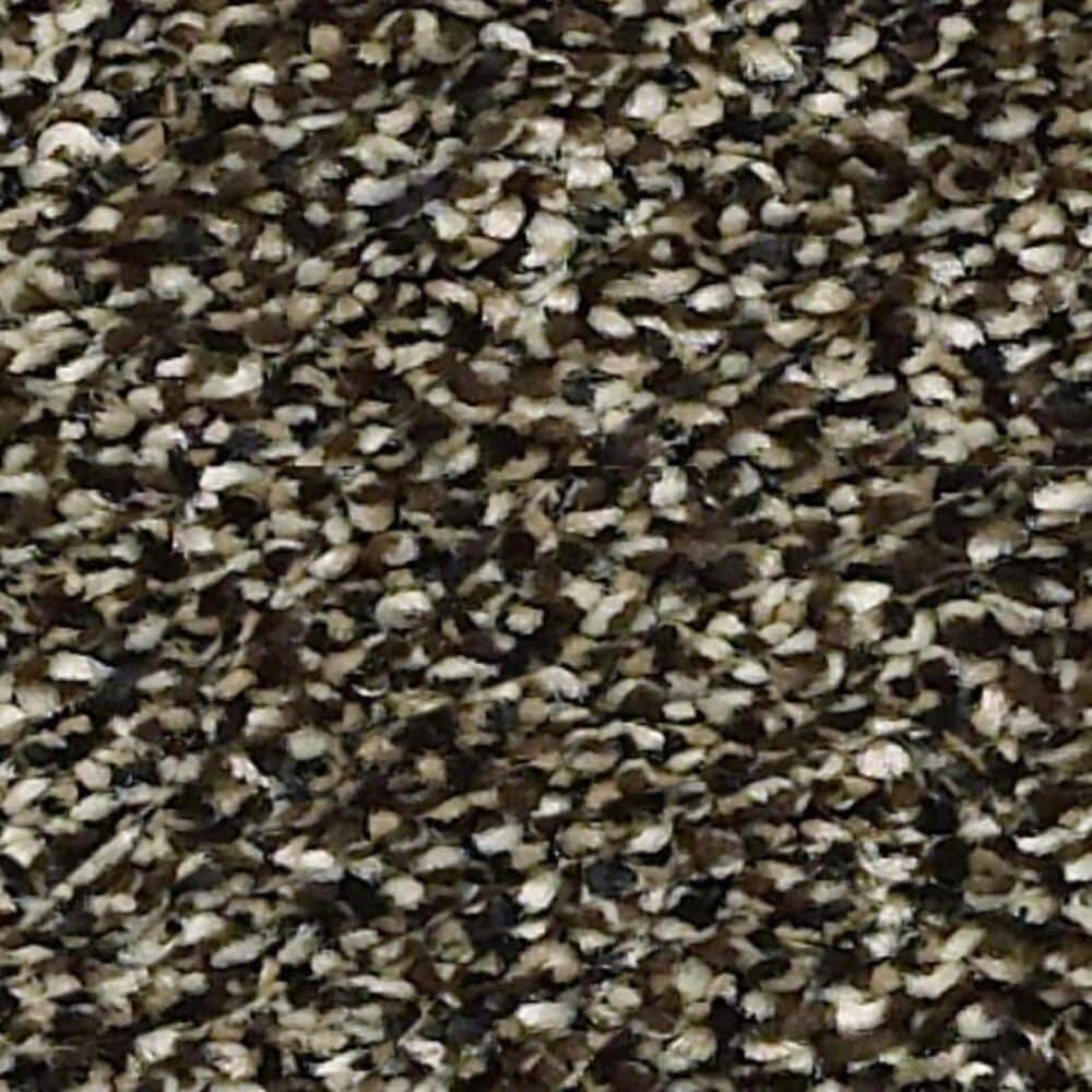 Shaw Points of Color I Carpet in Bark, , large