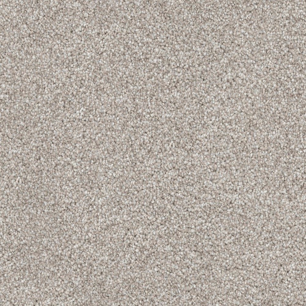Dixie Home Bella Carpet in Yorkie, , large