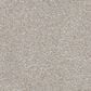 Dixie Home Bella Carpet in Yorkie, , large