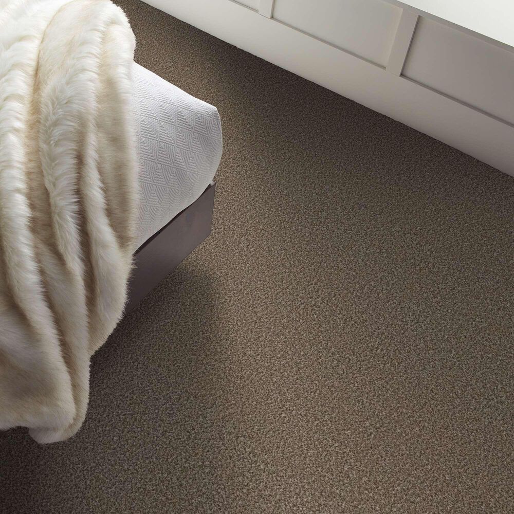 Shaw Renewed Energy II Carpet in Freckles, , large
