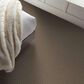 Shaw Renewed Energy II Carpet in Freckles, , large