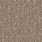 Shaw Clever Design Carpet in Kindling, , large