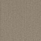 Phenix Cabana Carpet in Shell, , large
