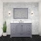 Lexora Home Dukes 48" Single Bathroom Vanity in Dark Grey with 2 cm White Quartz Top and Rectangular Sink, , large