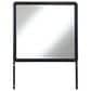 Millenium Rowanbeck Dresser Mirror in Black, , large