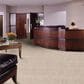 Shaw Franchise Carpet in Haystack, , large