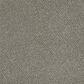 Dream Weaver PS260 Carpet in Ancient Marble, , large