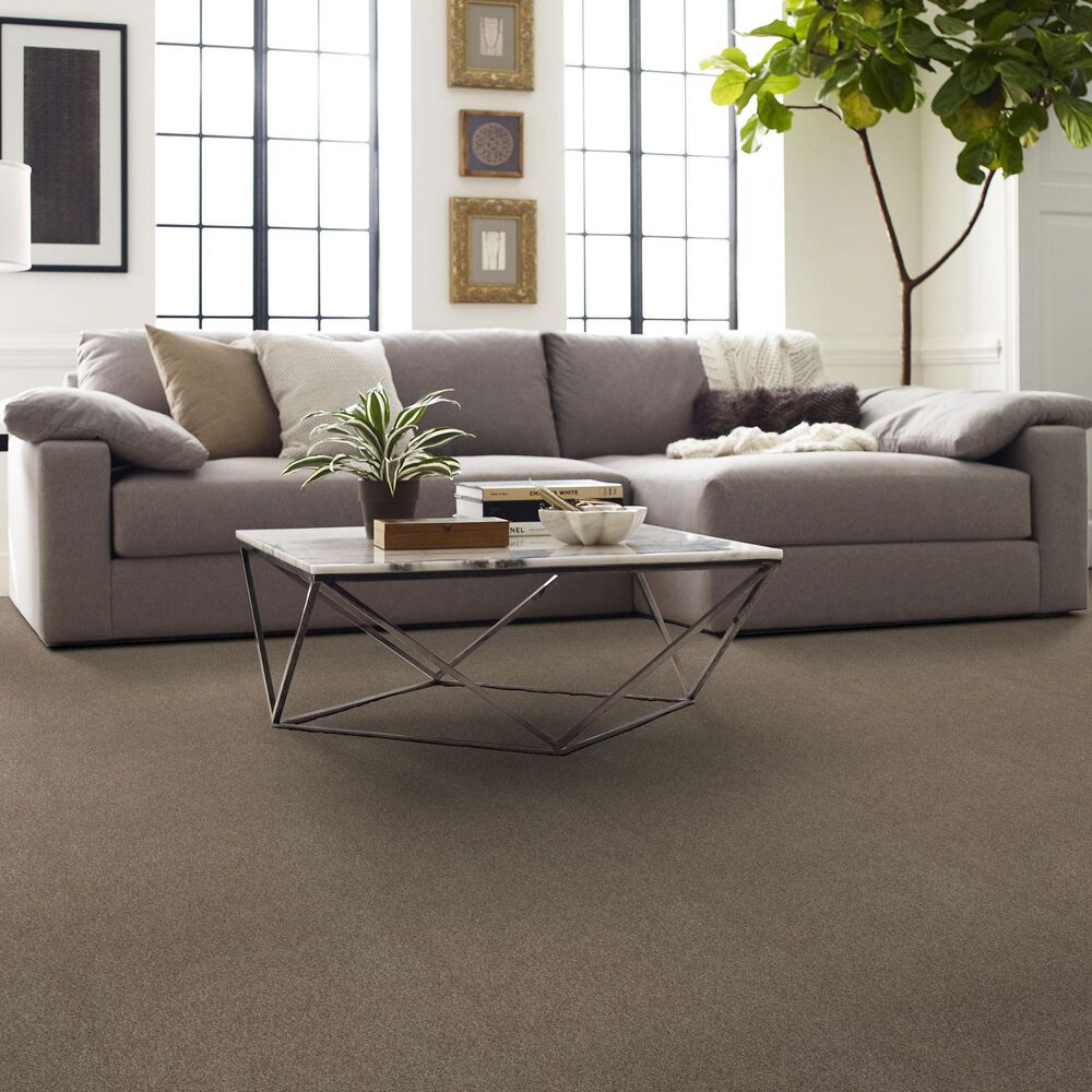 Shaw Comforting I Carpet in Boardwalk, , large