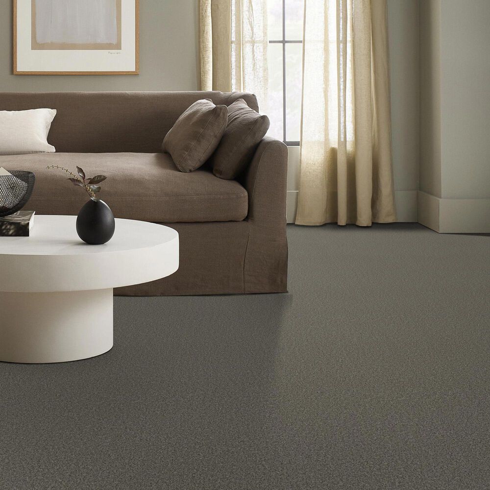 Anderson Tuftex Fabulous Carpet in Asphalt, , large
